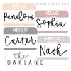 "Hello my Name is" Baby Name Tags
